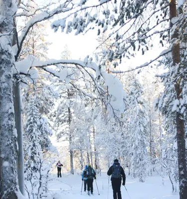 ski-nordique-en-finlande