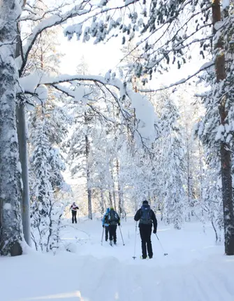 ski-nordique-en-finlande