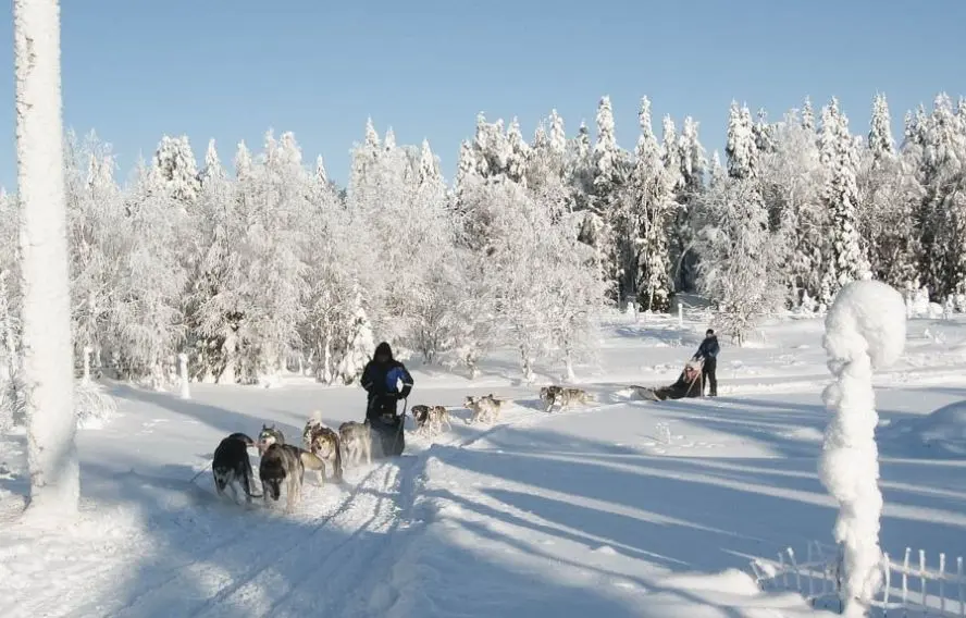 Voyage ski - Finlande, plaisirs d\'hiver