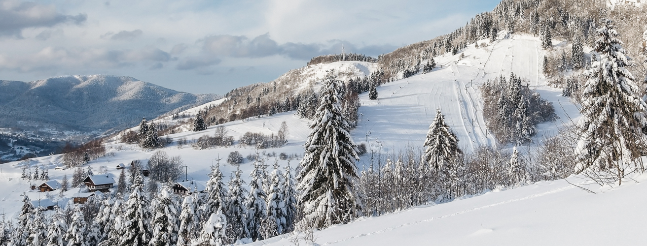 vosges-hiver