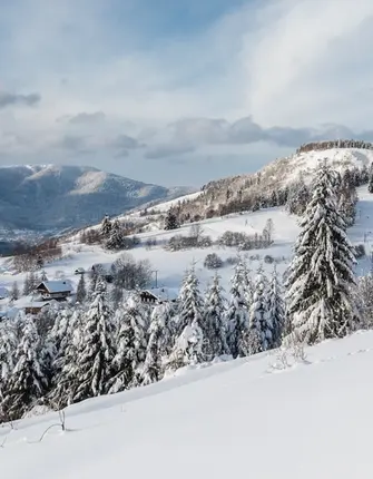 vosges-hiver