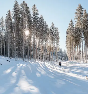 raquettes-bien-etre-alpes-bavaroises