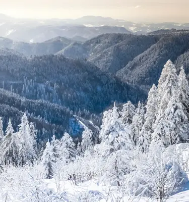 sshwarzwald-foret-noir-allemagne