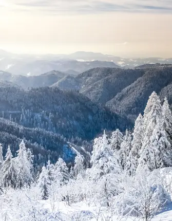 sshwarzwald-foret-noir-allemagne
