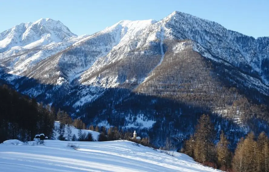 Vie Sauvage