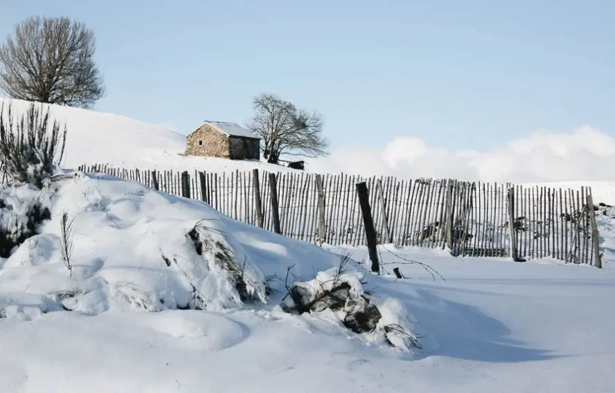 Randonnée dans le Sancy Sud