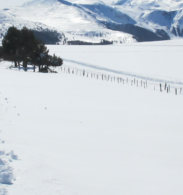 randonnee-raquettes-massif-sancy