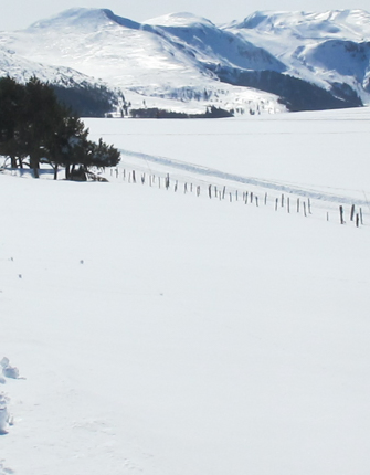 randonnee-raquettes-massif-sancy