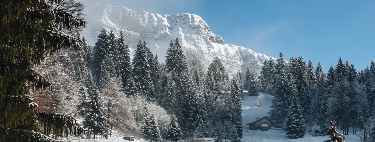 massif-bauges-chalets-savoie