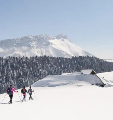 massif-bauges-chalets-savoie