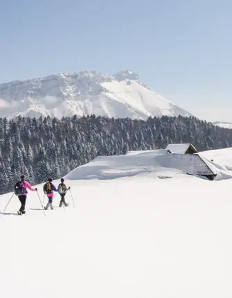 massif-bauges-chalets-savoie