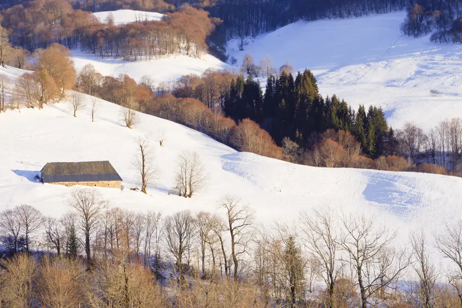 Image Volcan du Cantal à raquettes