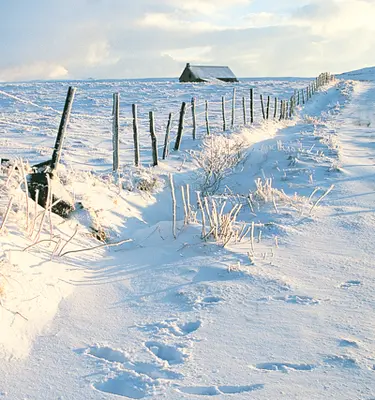 randonne-raquettes-cantal