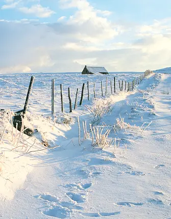 randonne-raquettes-cantal