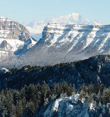paysage-chartreuse-bellecombe-alpes