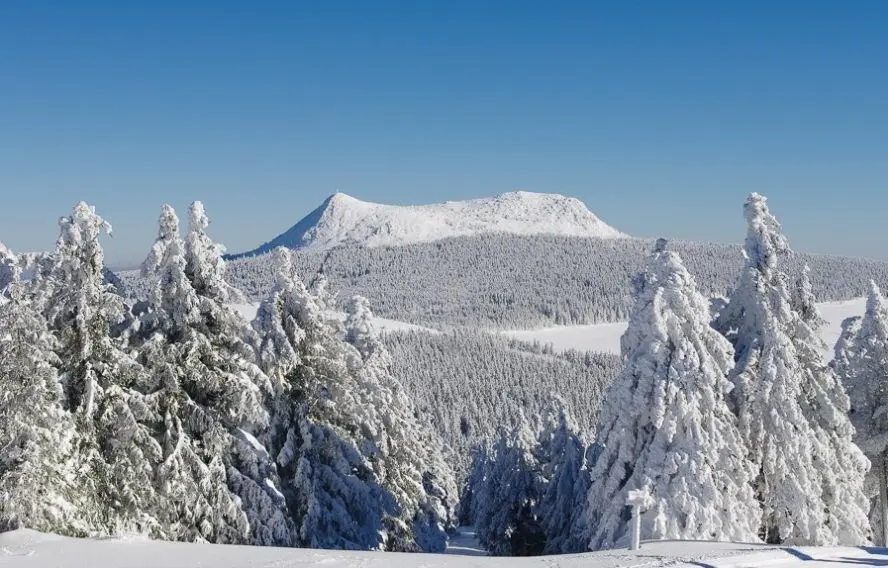 Randonnée en forêt sur le Mézenc