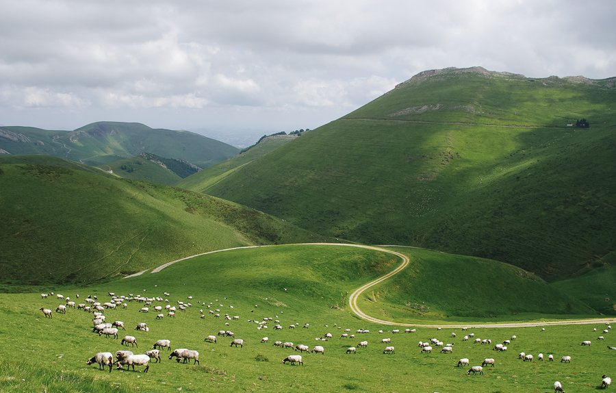 Décor verdoyant des montagnes basques