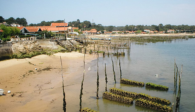 Le bassin d'Arcachon