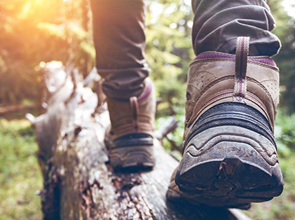chaussures de randonnée en forêt - Adobe Stock