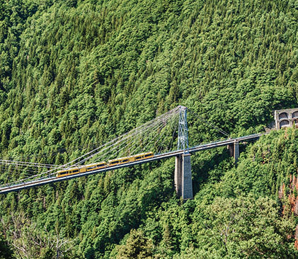 Le célèbre train jaune, à découvrir lors d'un séjour dans les Pyrénées - AdobeStock