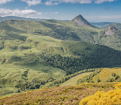 Le Puy Griou dans le Cantal - AdobeStock