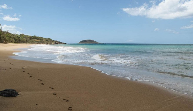 Voyage sur les plages de Guadeloupe 