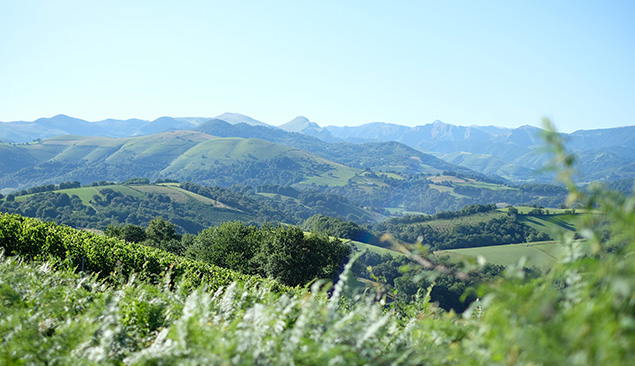 Paysages du Pays-Basque en randonnée au-dessus de Saint-Jean-Pied de Port - PVillemejane