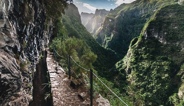 Randonnée le long des Levadas de Madère - AdobeStock