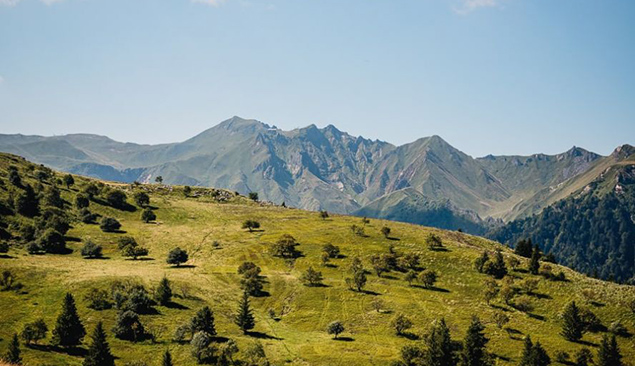 Vue générale sur le massif du Sancy en Auvergne - AdobeStock