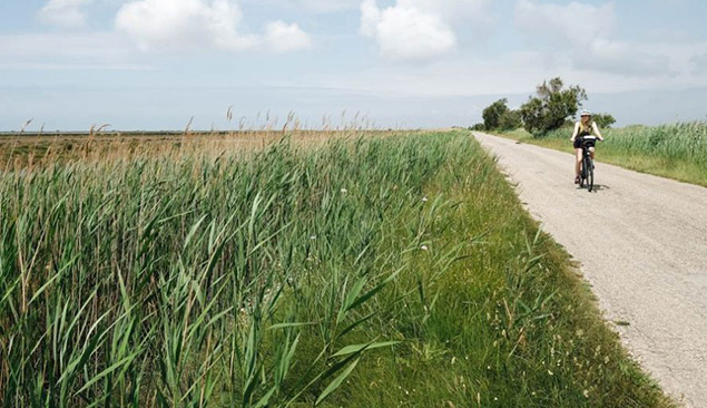 La Camargue à vélo - AGaunot