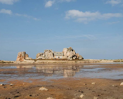 La réserve des Sept-Îles en Bretagne