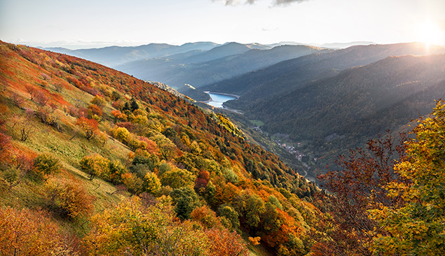 Les Vosges en randonnée à l'automne