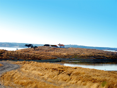 Paysage de l'Alentejo au Portugal - Unsplash