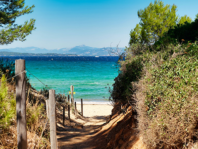 Ile de Porquerolles et sentier vers la plage - BLecomte