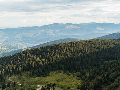 Massif des Vosges - RBrun