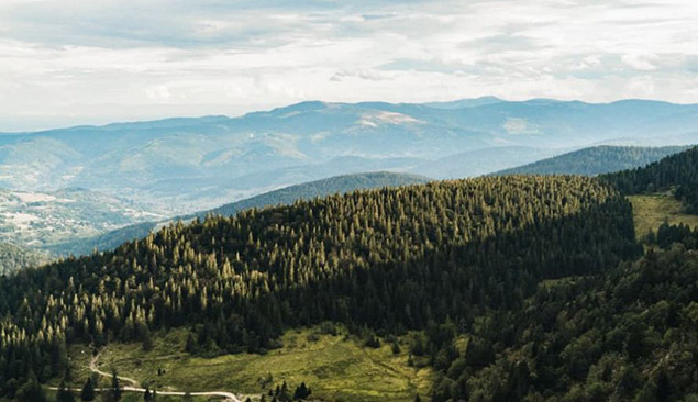 Le massif des Vosges en randonnée