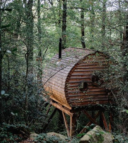 Cabane dans les Arbres au coeur de la Chaîne des Puys 