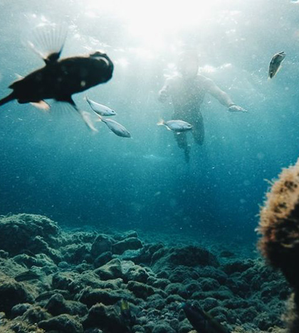 Plongée dans les eaux de Lanzarote aux îles Canaries