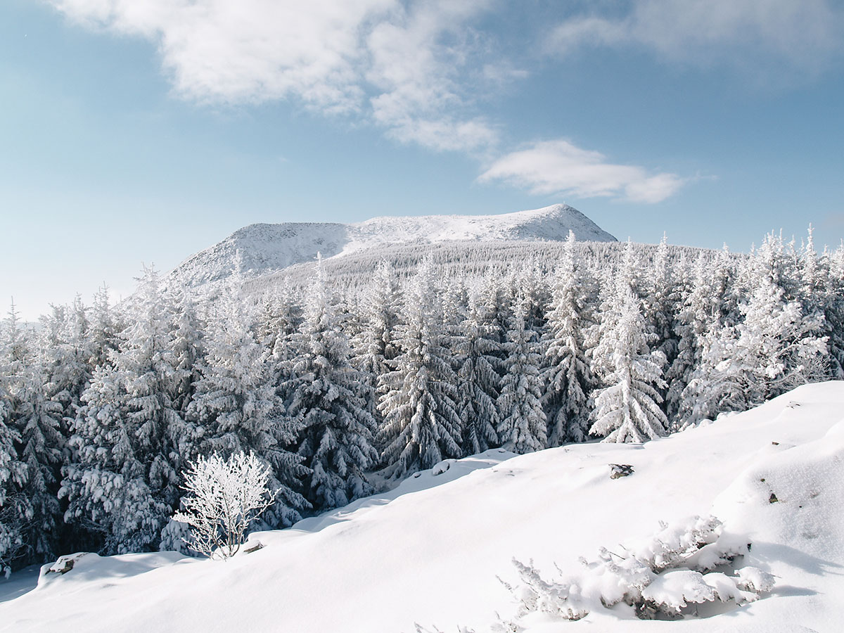 Le mont Mézenc sous la neige dans le Massif central - PSJean