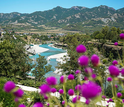 La vallée de la Vjosa en Albanie - AdobeStock - Cocosss