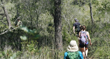 randonneurs sur chemin naturel