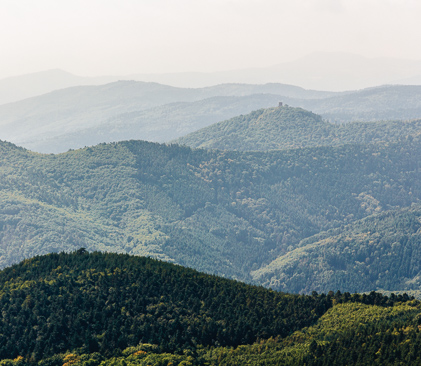 massif des vosges