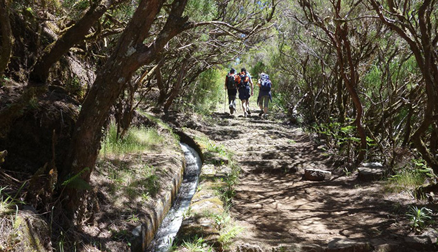 Levada da Sera, Madère