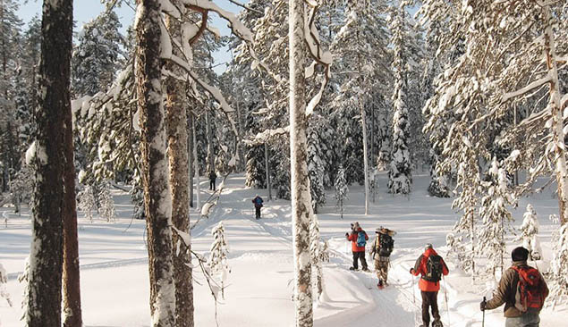 Raquettes dans les forêts de Finlande