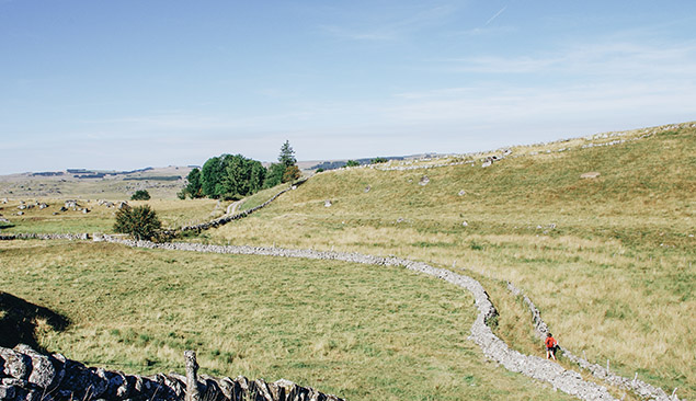 Randonnée sur l'Aubrac