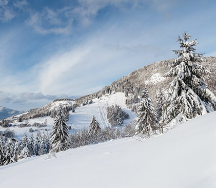 Le massif des Vosges en hiver