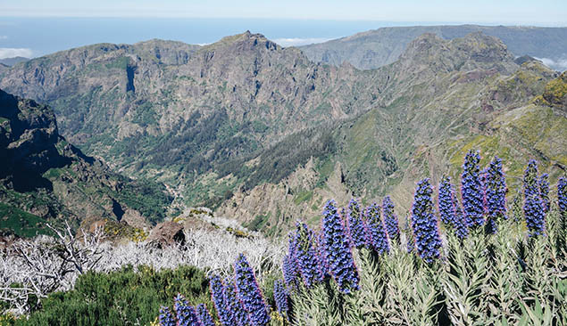 massif montagneux de Madère