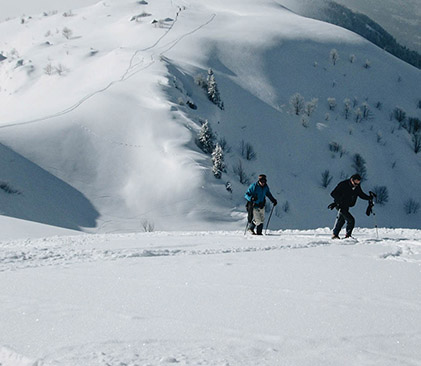 randonnée raquettes dans les alpes