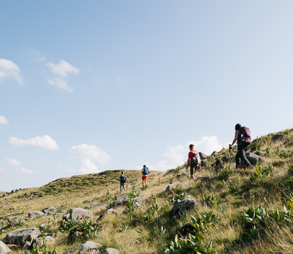 groupe sur chemin du sancy