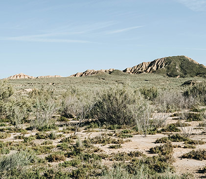 paysage des Bardenas